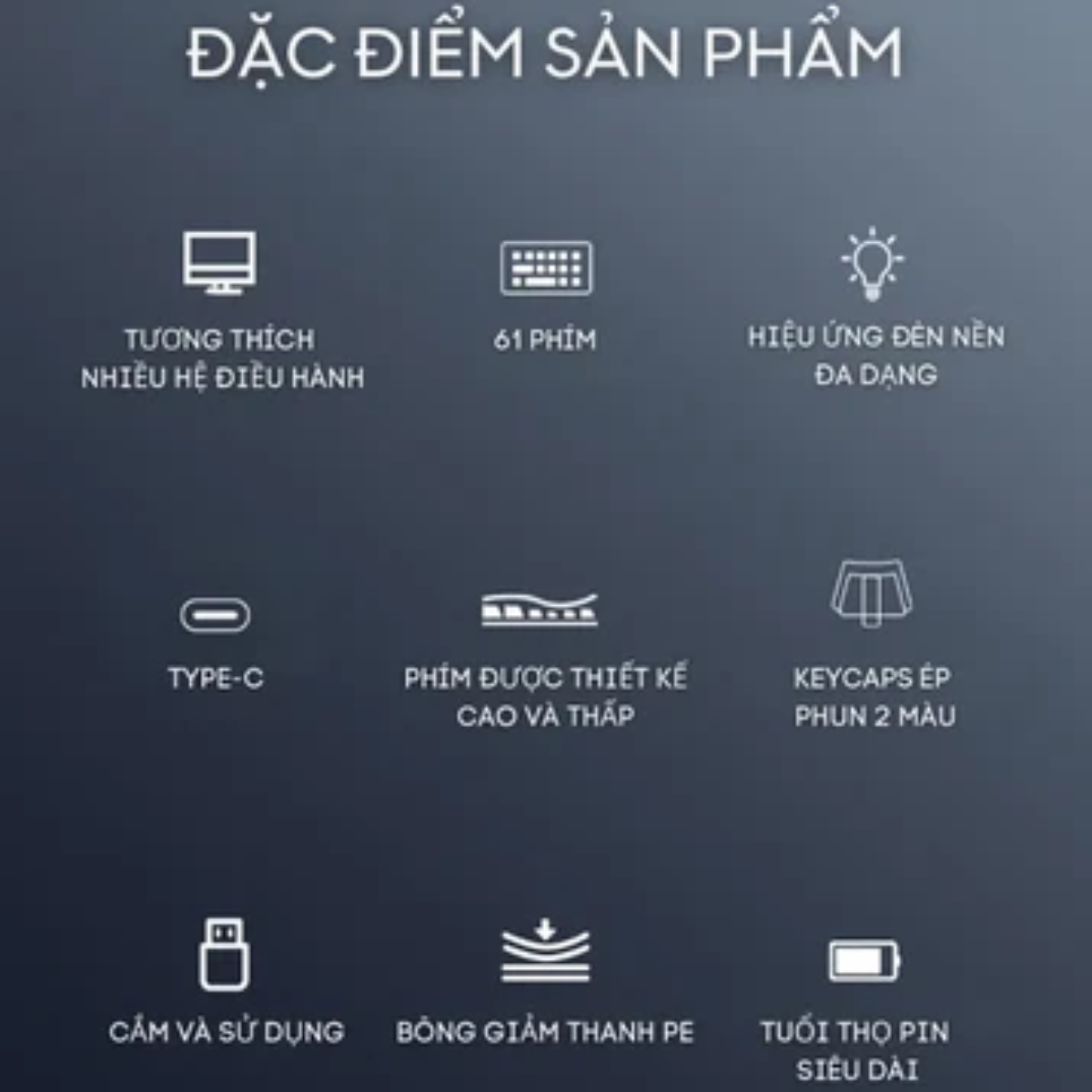 Ảnh sản phẩm